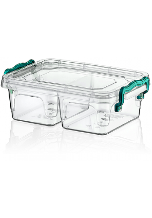 Clear Rectangular Divided Multi Box Storage Container 05L