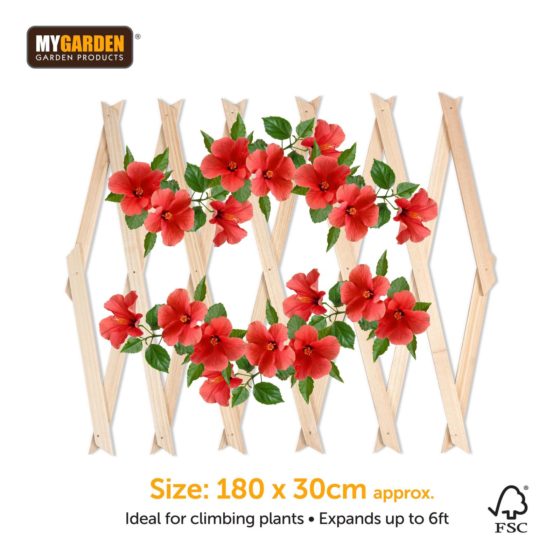 Premium Garden Expanding Wooden Trellis Natural 180 x 30 cm