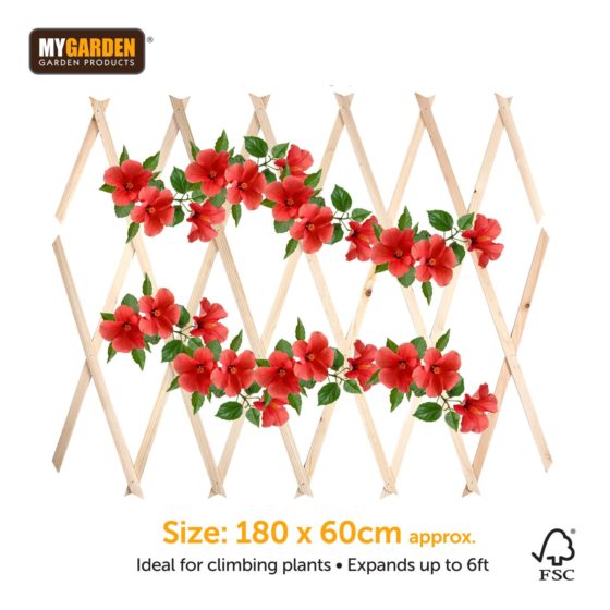 Premium Natural Wooden Trellis for Garden 180 x 60 cm