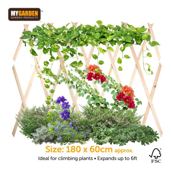 Premium Natural Wooden Trellis for Garden 180 x 60 cm