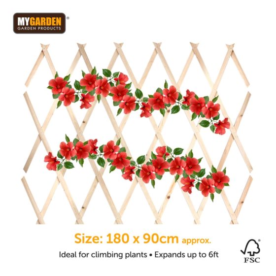 Premium Garden Expanding Wooden Trellis Natural 180 x 90 cm