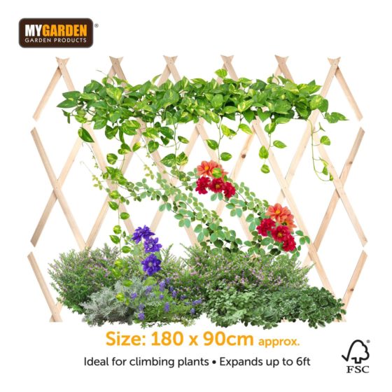 Premium Garden Expanding Wooden Trellis Natural 180 x 90 cm