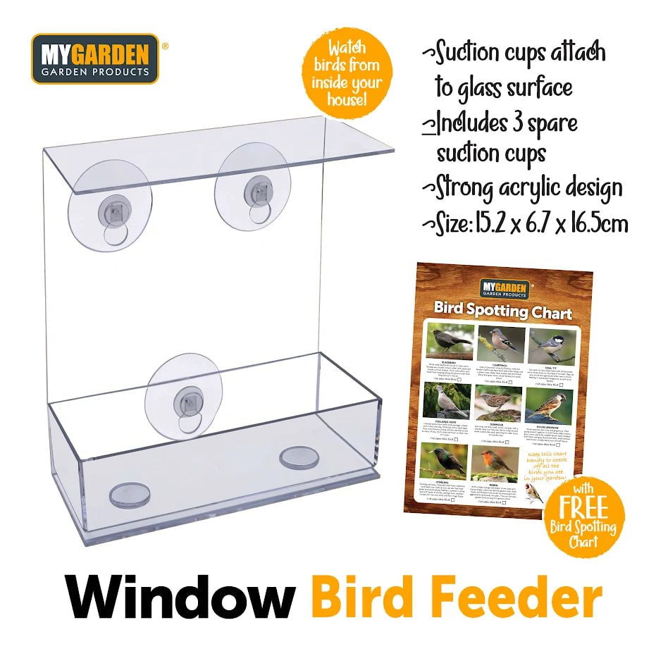 Clear Plastic Window Bird Feeder for UpClose Bird Watching
