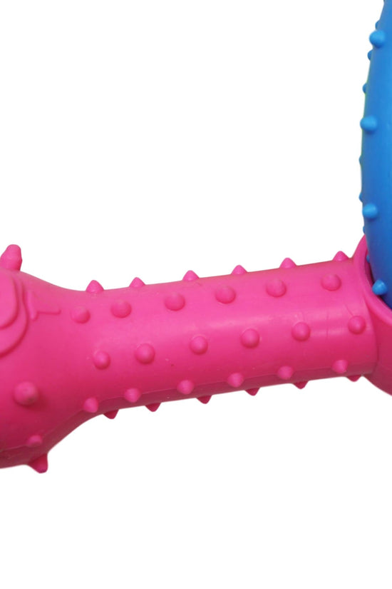 Durable Pet Dog Chewing Toy Set with Assorted Colours