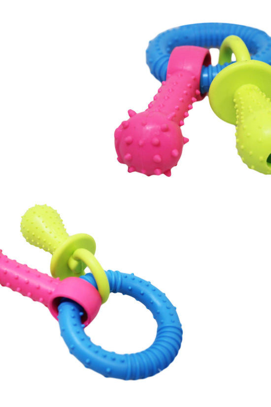 Durable Pet Dog Chewing Toy Set with Assorted Colours