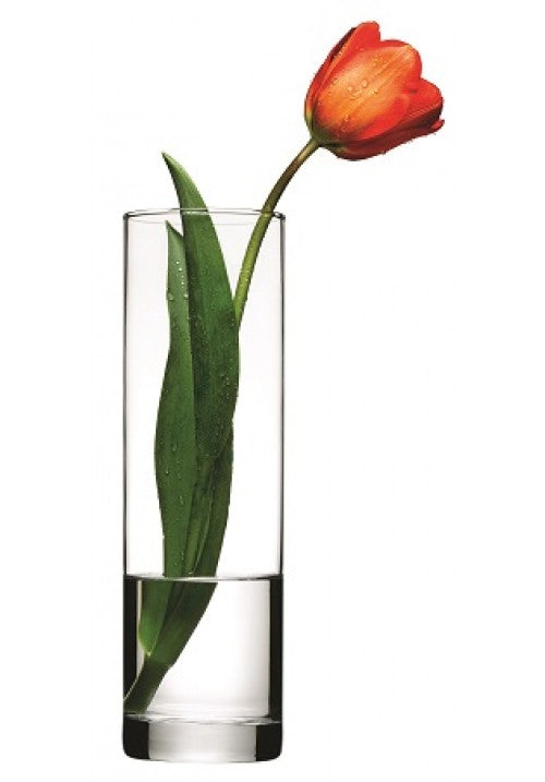 Versatile Clear Glass Flower Vase for Elegant Displays