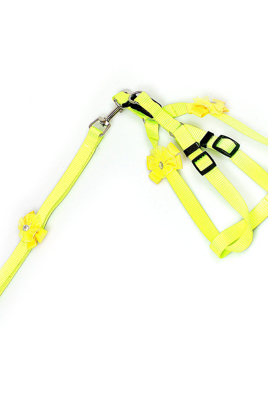 Adjustable Dog Lead Pack 4 Colours Available