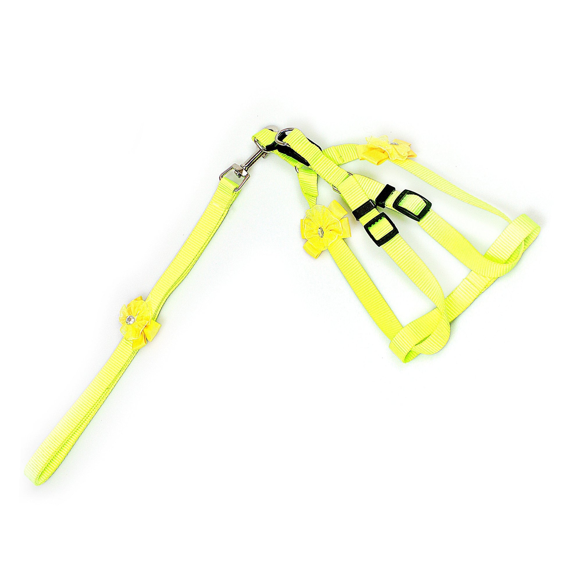 Adjustable Dog Lead Pack 4 Colours Available