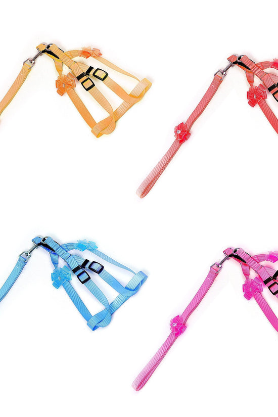 Adjustable Dog Lead Pack 4 Colours Available