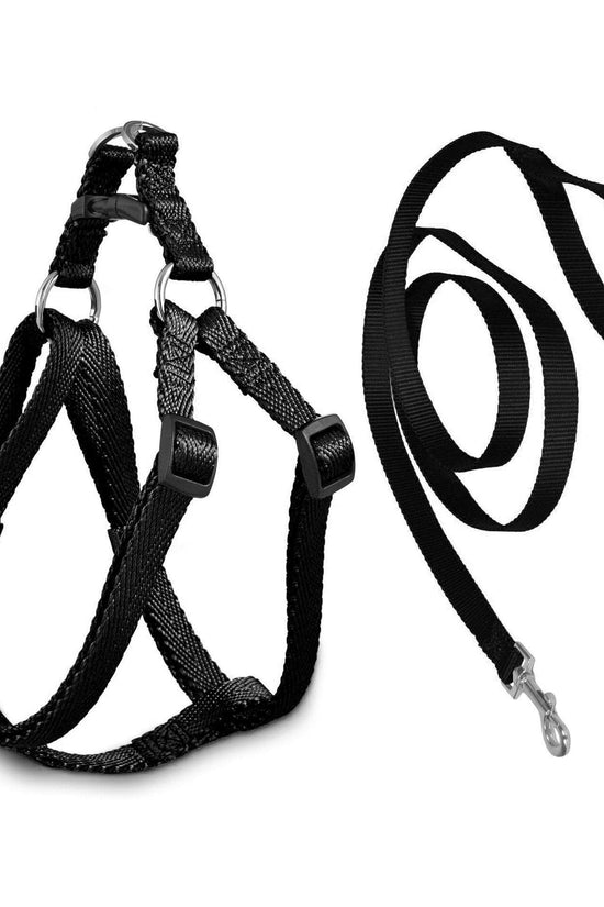 Durable Pet Dog Leash in Assorted Colors