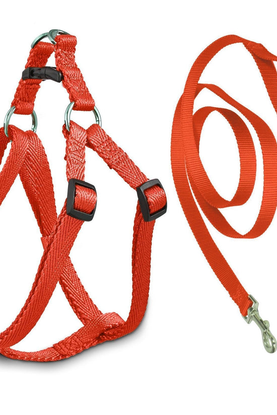 Durable Pet Dog Leash in Assorted Colors