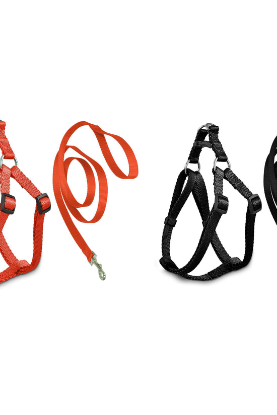 Durable Pet Dog Leash in Assorted Colors