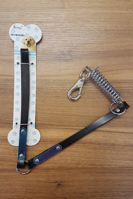 Durable Pet Dog Leash Lead with Spring Buckle Clip Assorted Colors