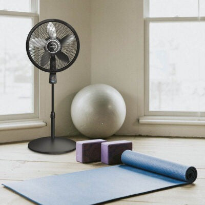 16Inch Plastic Round Black Floor Standing Fan 220240V 50Hz