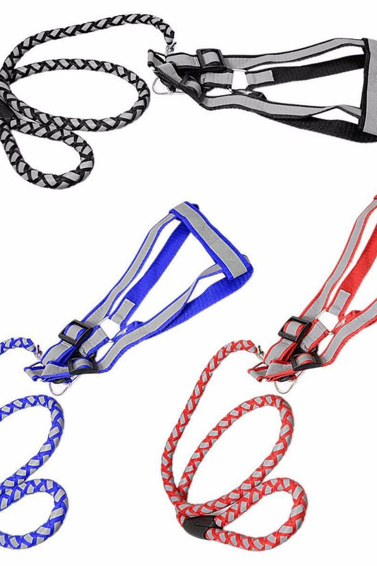 Reflective Nylon Dog Harness with Leash Set