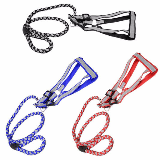Reflective Nylon Dog Harness with Leash Set