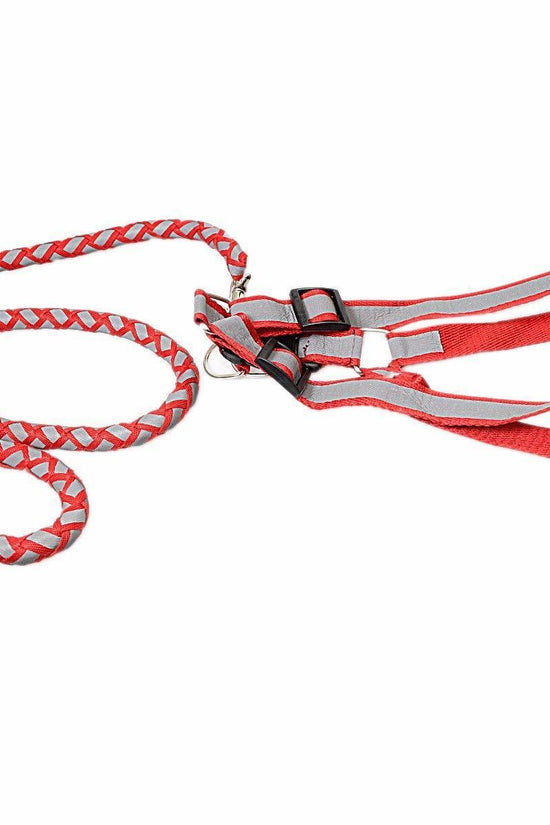 Reflective Nylon Dog Harness with Leash Set