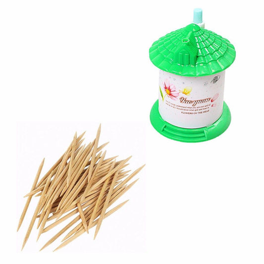House Shaped Toothpick Holder with Toothpicks Assorted Colors