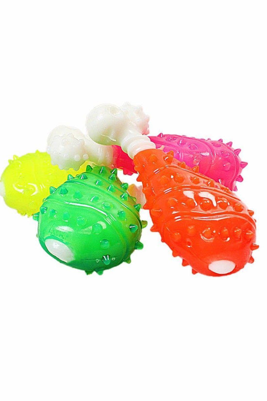 Interactive Pet Dog Toy Chicken Bone Durable Chew Toy for Dogs