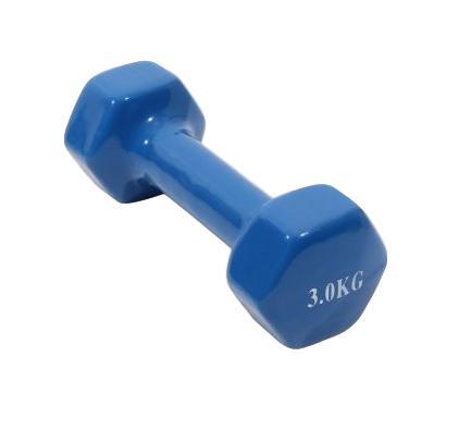 BlueRed Vinyl Fitness Dumbbell 3kg Versatile Workout Essential