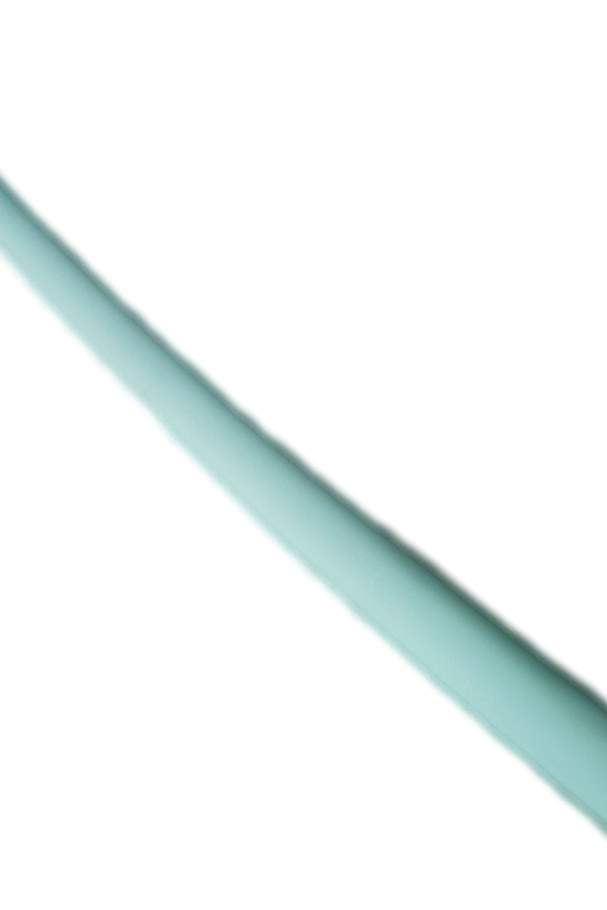 60cm Easy Shoehorn for Enhanced Comfort and Convenience