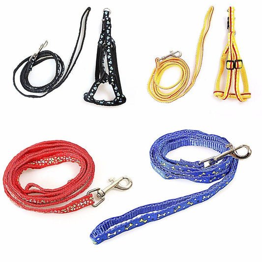 Printed Dog Leash Lead with Harness Set for Trendy Pups