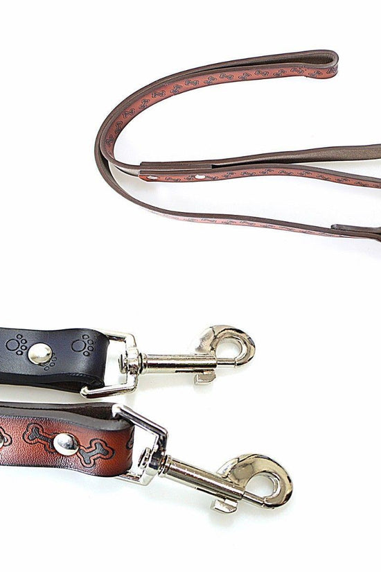 Premium Rubber Dog Leash Stylish Durable and Reliable
