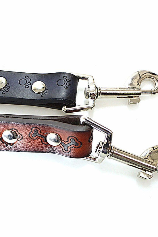 Premium Rubber Dog Leash Stylish Durable and Reliable