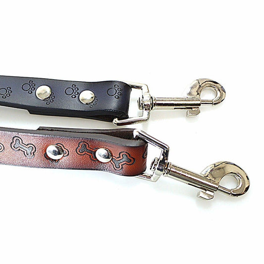 Premium Rubber Dog Leash Stylish Durable and Reliable