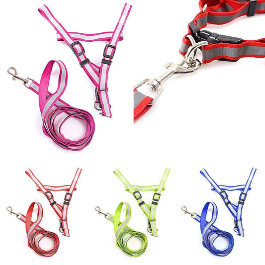 Bright Reflective Dog Leash Harness Set for Safe Outdoor Walks