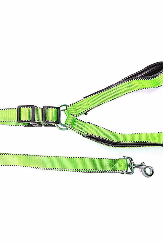 Durable Nylon Reflective Dog Leash with Strong Harness