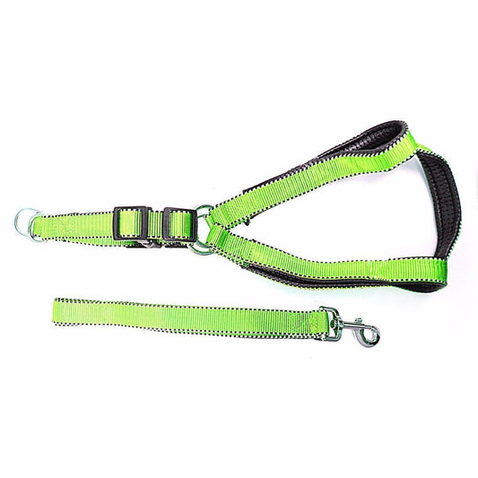 Durable Nylon Reflective Dog Leash with Strong Harness