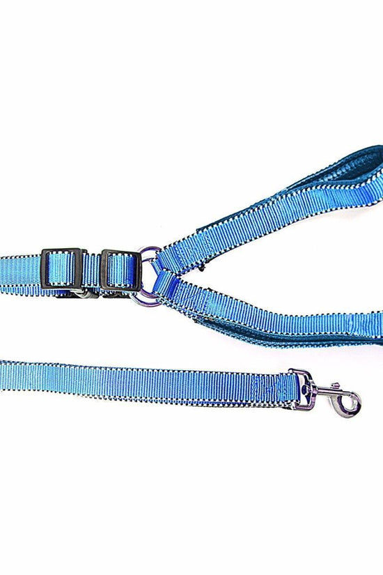 Durable Nylon Reflective Dog Leash with Strong Harness