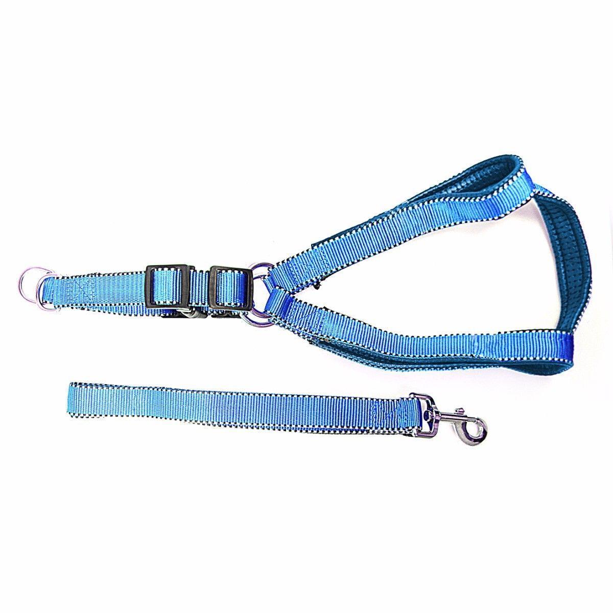 Durable Nylon Reflective Dog Leash with Strong Harness