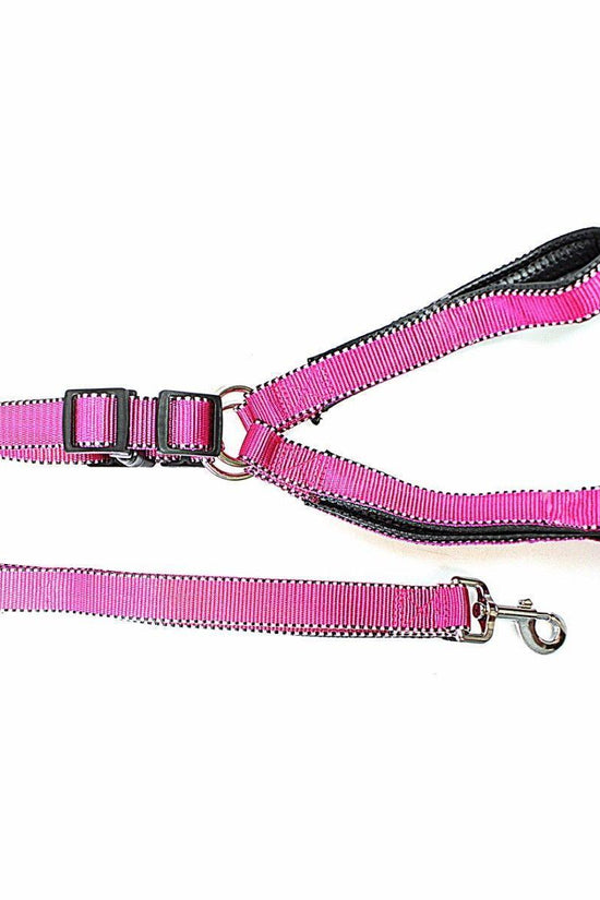 Durable Nylon Reflective Dog Leash with Strong Harness