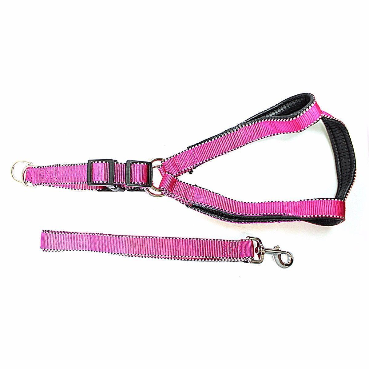 Durable Nylon Reflective Dog Leash with Strong Harness