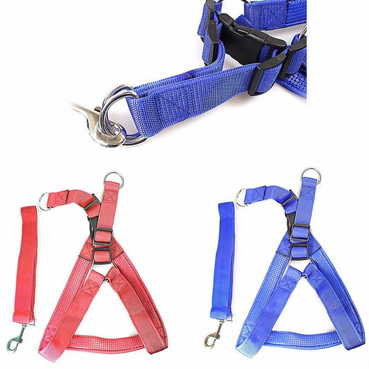 Blue and Red Heavy Duty Dog Harness for Outdoor Adventures