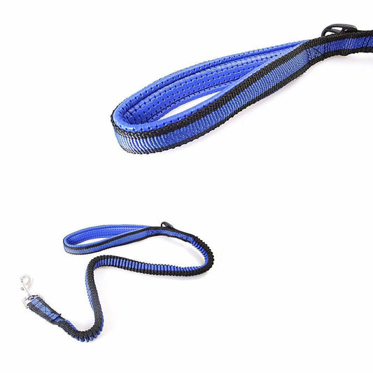 Stretchy Dog Leash Collar Set for Effective Pet Training