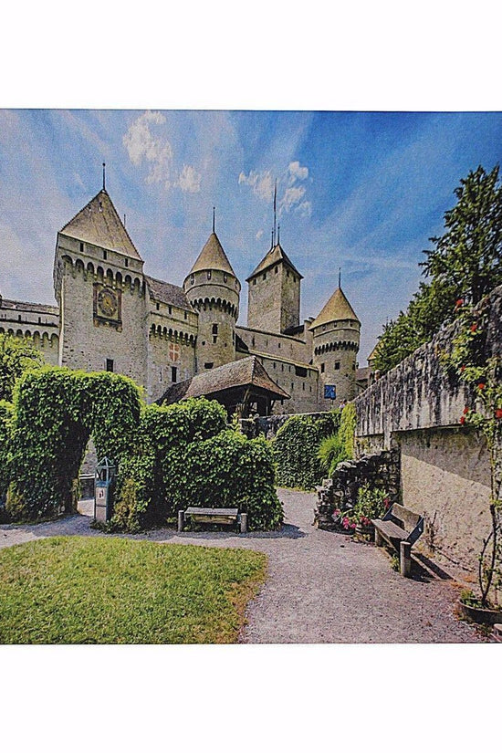 Stylish Printed Mouse Mat Pad 285 x 245 cm