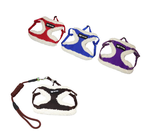 Cozy Small Dog Harness with Matching Leash Assorted Sizes Colors