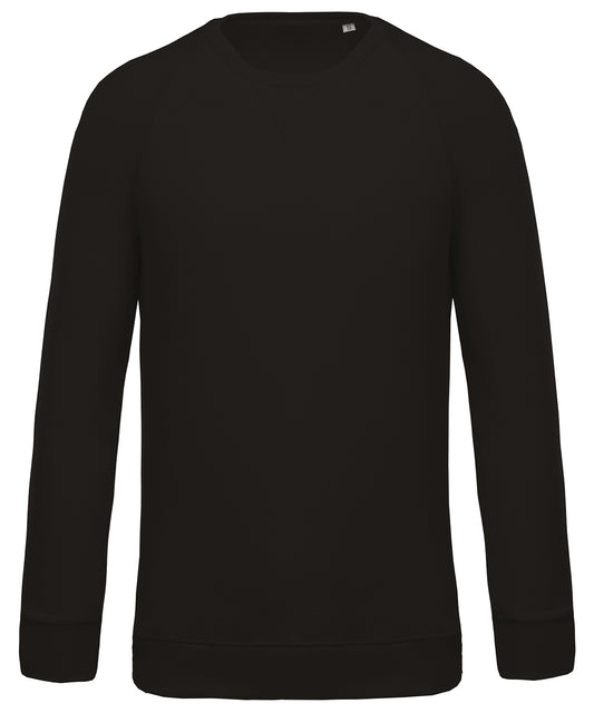 Organic Cotton Raglan Sleeve Sweatshirt for Men