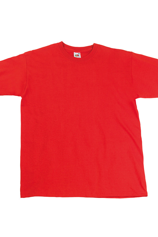 Mens Super Premium TShirt Plus Sizes
