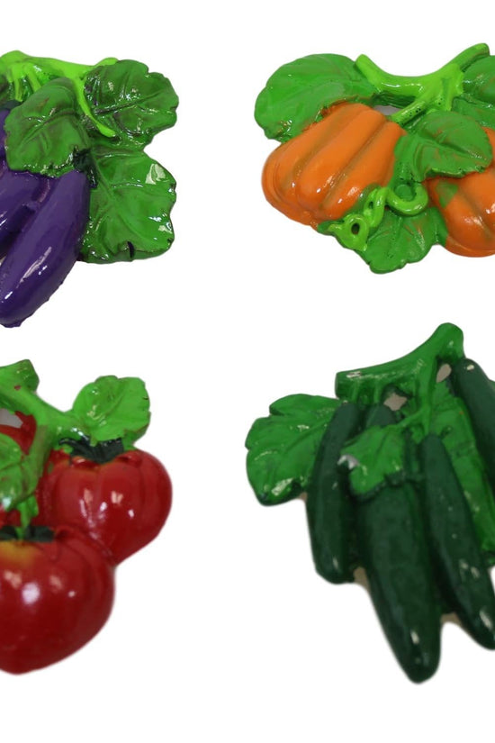 Vibrant Vegetable Designs Fridge Magnets Set 8 cm Assorted Pack of Random Designs