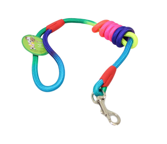 Colorful Rainbow Pet Dog Rope Leash 125m
