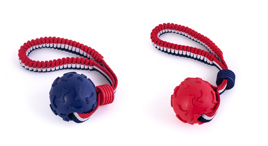 Interactive Pet Dog Toy Ball with Bone Print and Elastic Rope 6cm