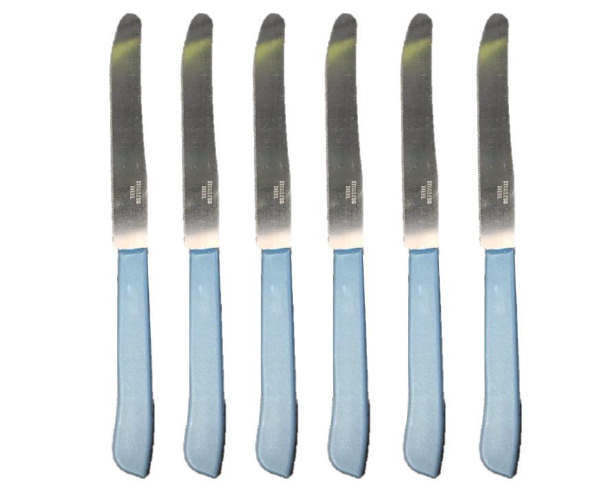 6Piece Kitchen Knife Set with 21 cm Plastic Handles