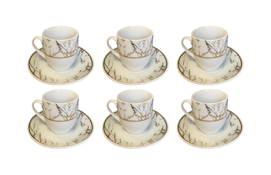 Elegant Coffee Espresso Cup Set with Saucers Set of 12 Assorted Designs