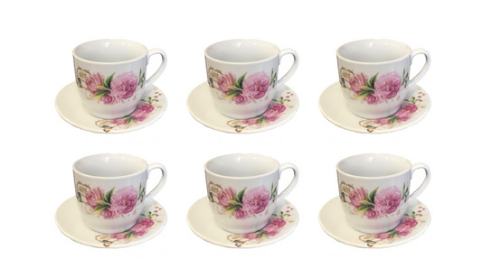 Elegant Coffee Espresso Cup Set with Saucers Set of 12 Assorted Designs
