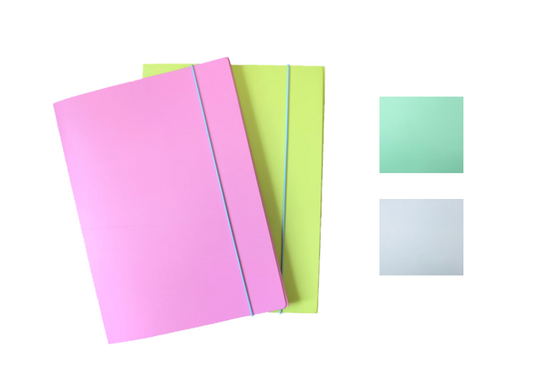 A4 Paper File Folder Holder Assorted Colours