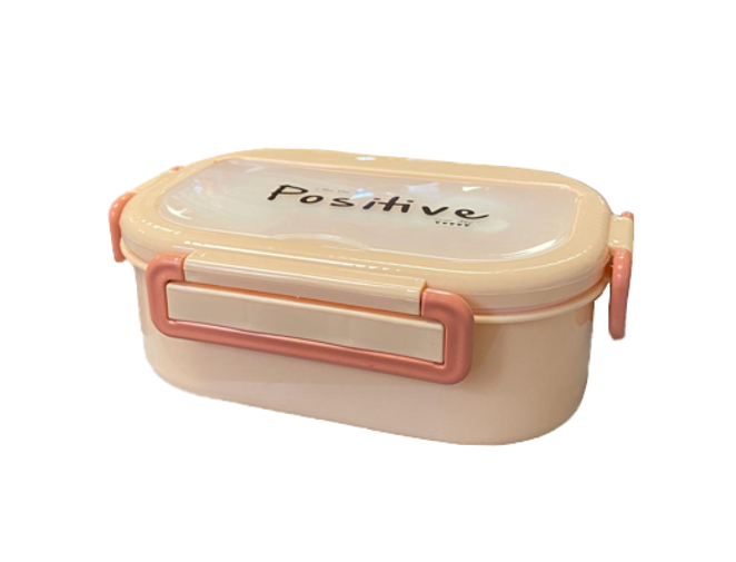 2 Compartment Lunch Box with Cutlery Set Assorted Colors